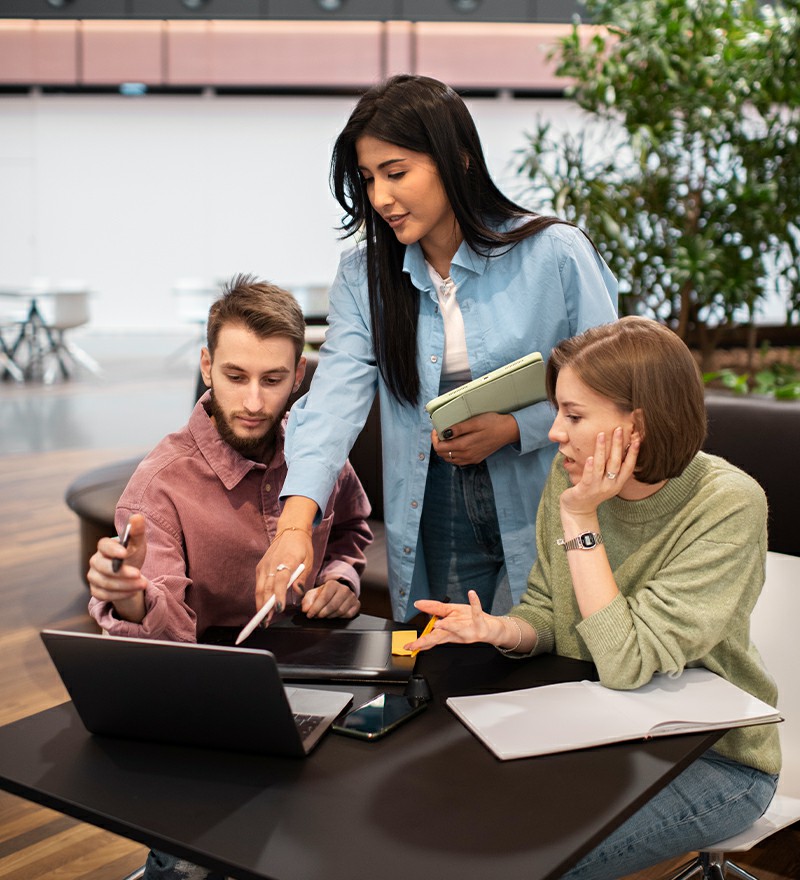 SoftHexaTech team discussing a custom software project